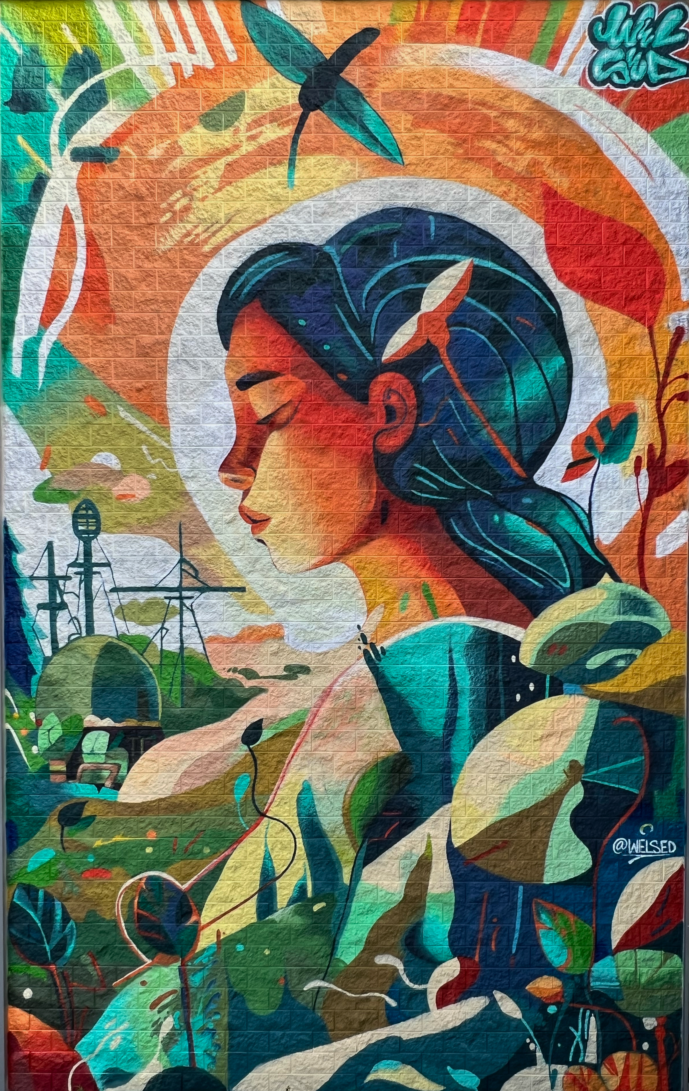 UCD Health Center Mural by Northern California artist Wel Sed created with community collaboration